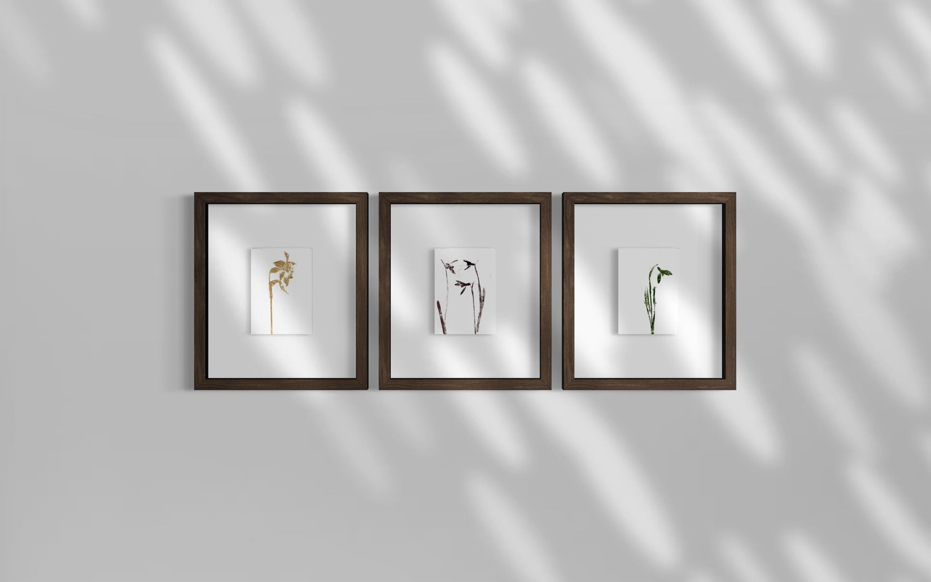 Captured — A6 Original Botanical Prints