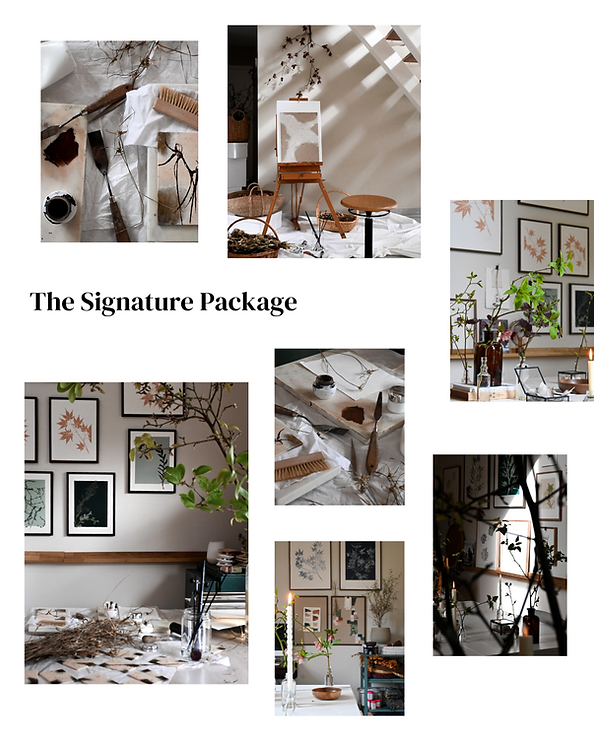 Copy of Title posts feed (Instagram Post (45)).png