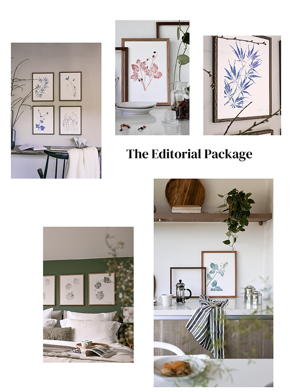 Copy of Title posts  feed (Instagram Post (34)).png