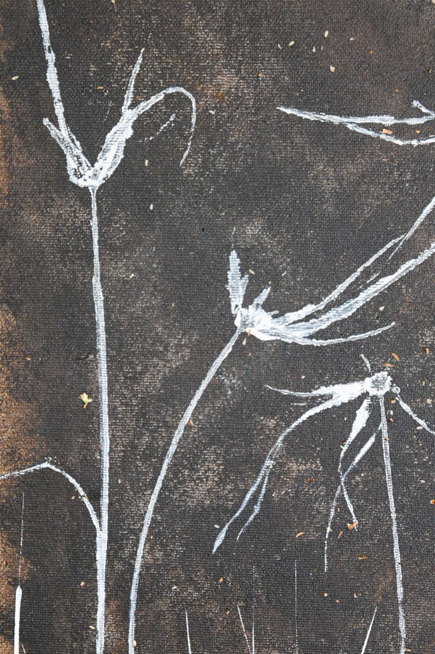 Thumbnail: Starrush grass | 30x40 cm