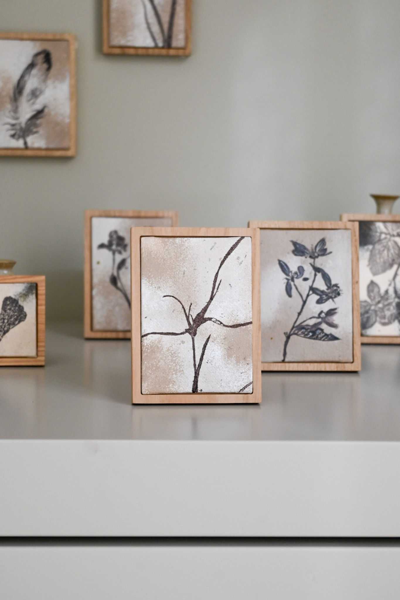 Starrush grass 5 - mini