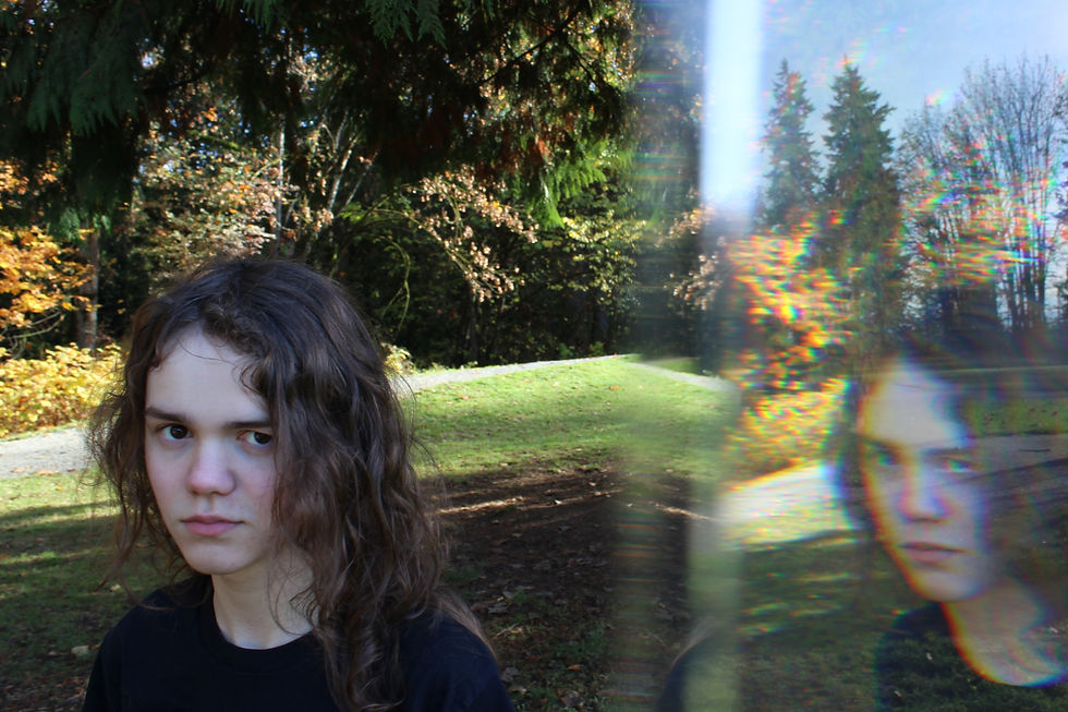 reflection and refraction