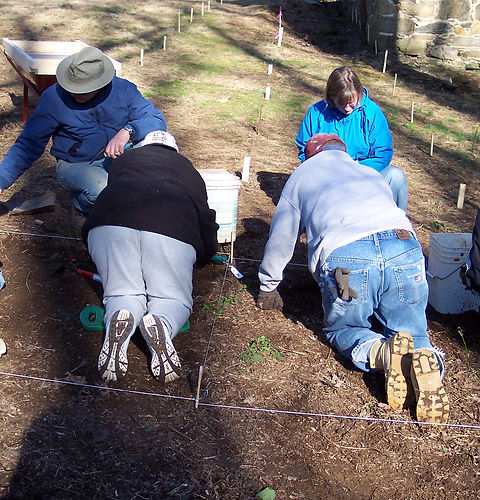 Diggers at work.JPG