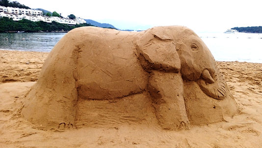 elephant make and ride 17.jpg