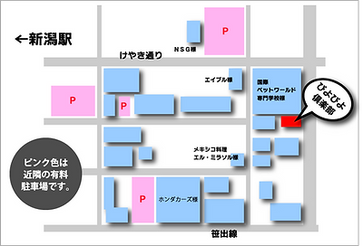 アセット 5.png