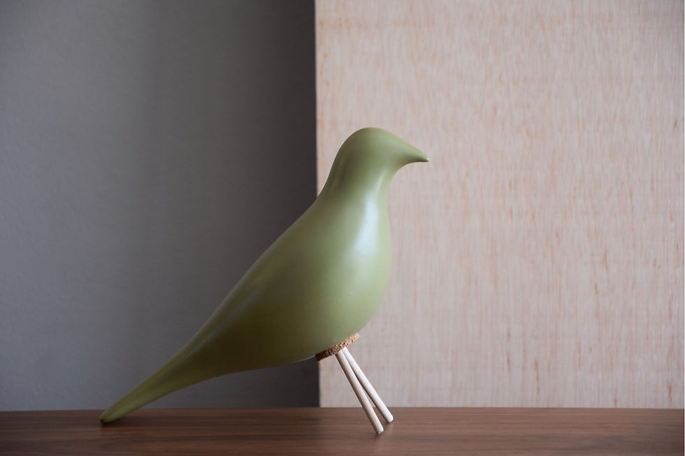 Thumbnail: Olive Bird