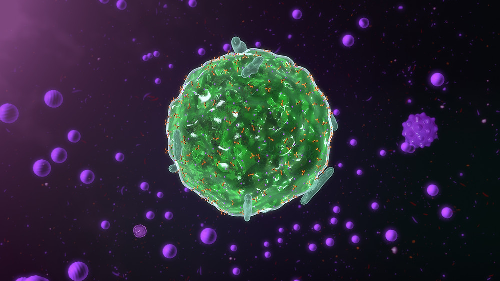 A mast cell releasing histamine