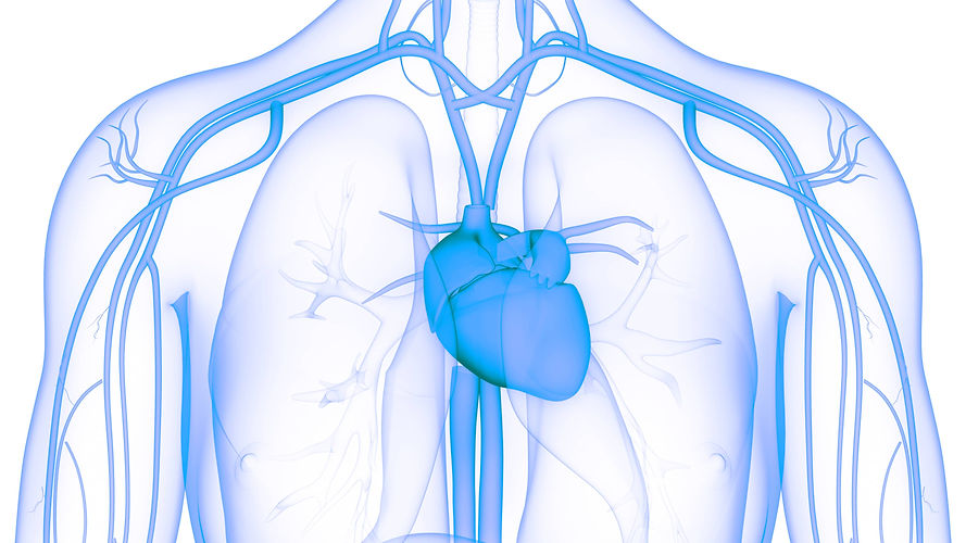 heart health.jpeg