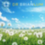 wildflowers against a blue sky. text overlay Can Seasonal Allergies Cause Stomach Upset? www.DrBrianLum.com Functional Healthcare Institute