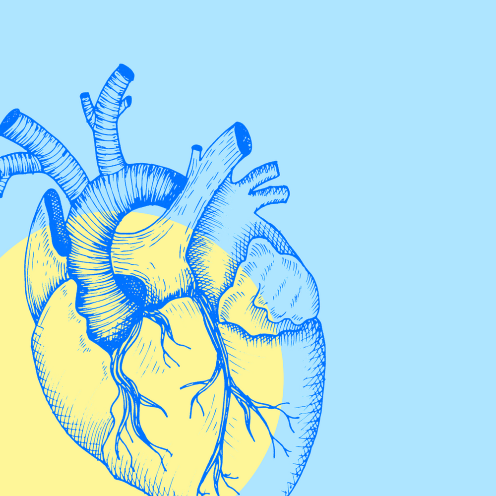 How To Fix Heart Palpitations Naturally