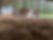 IMG_5333.jpeg