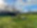 IMG_8735.jpeg
