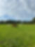 IMG_5639.jpeg