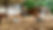 b3511022-b91a-41c8-a183-872aec134f31.jpeg