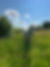 IMG_7042.jpeg