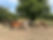IMG_9681.jpeg