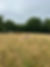IMG_8521.jpeg