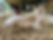 IMG_4545.jpeg