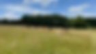 fe7066b4-7ad1-425f-ac23-567d28b657fe.jpeg