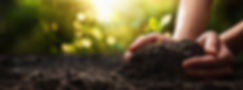 AdobeStock_330173551.jpeg