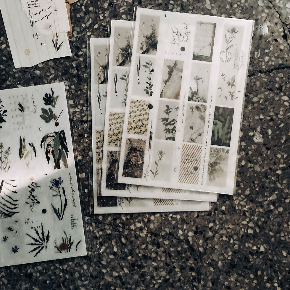 Thumbnail: Some Sort of Fern - Greens Transfer Stickers