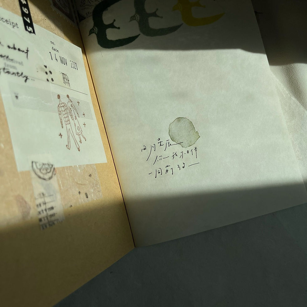 Thumbnail: Pion - Transfer Stickers - Writing