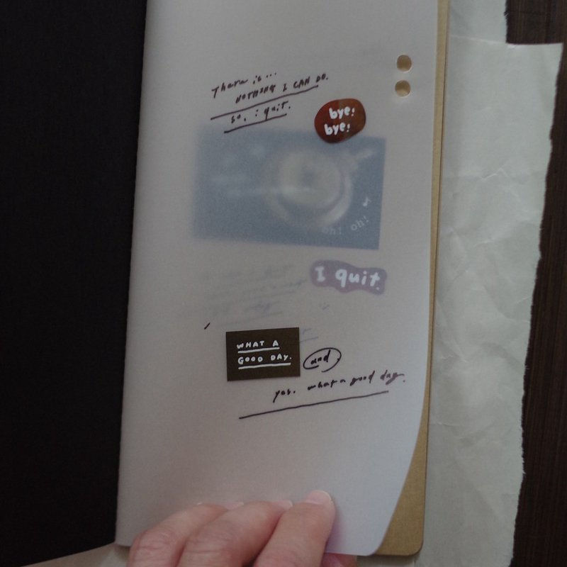 Thumbnail: Mr. Eggplants - Collecting Mixed Paper TN Notebook Insert