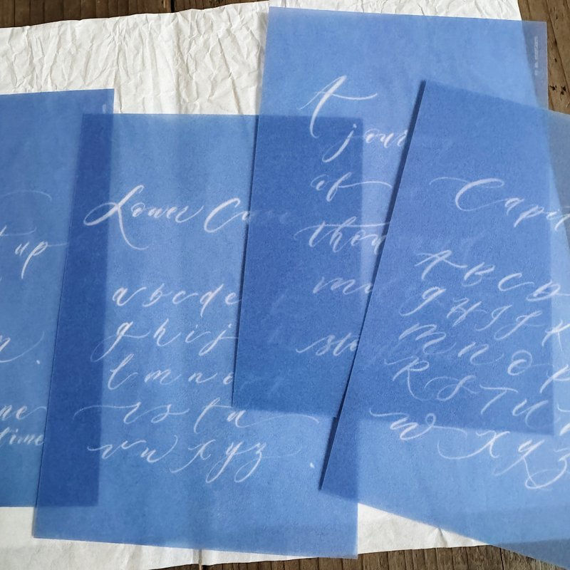 Thumbnail: Mr. Eggplants - Storyteller RISO Postcard and Tracing Paper Set