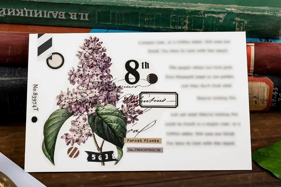 Thumbnail: MooKA Studio - Large Plant Collection PET Tape