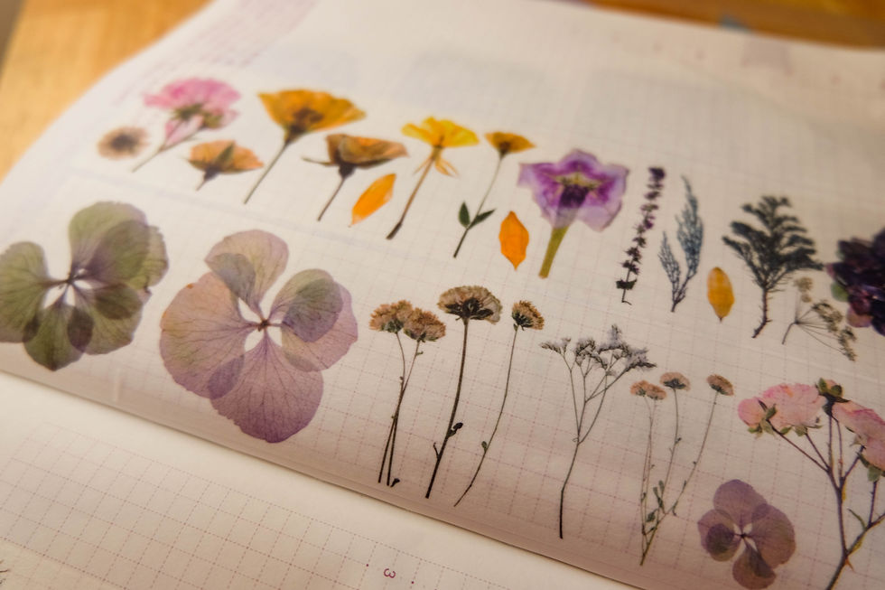 Thumbnail: London Gifties - Pressed Flowers