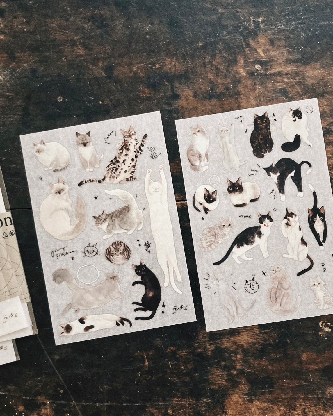 Some Sort of Fern - Black and White Transfer Stickers