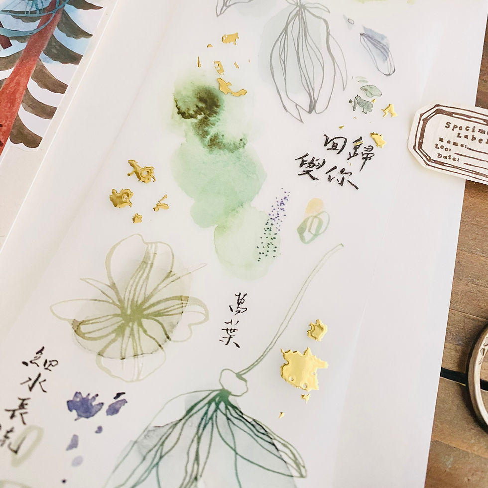 Thumbnail: Shiwu Studio - Latitude 23.5 Degrees North - Formosa PET Tape