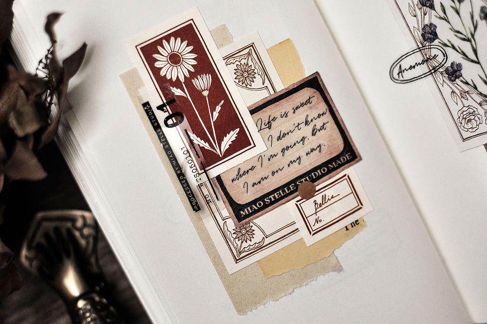 Thumbnail: Miao Stelle - Floral Notes