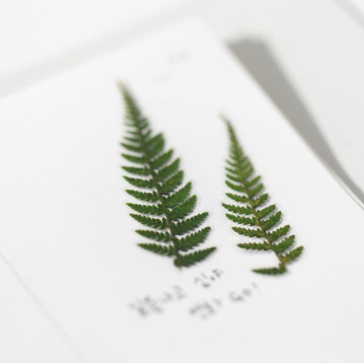 Thumbnail: Appree Pressed Flower Sticker - Bracken