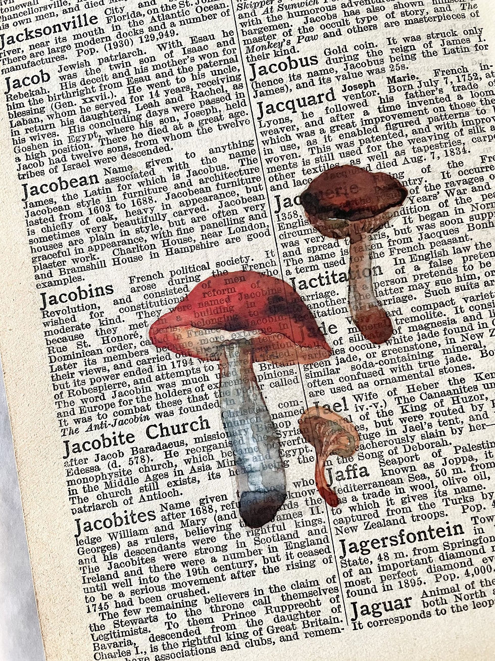 Thumbnail: Kiroku Studio - Wild Mushrooms PET Tape