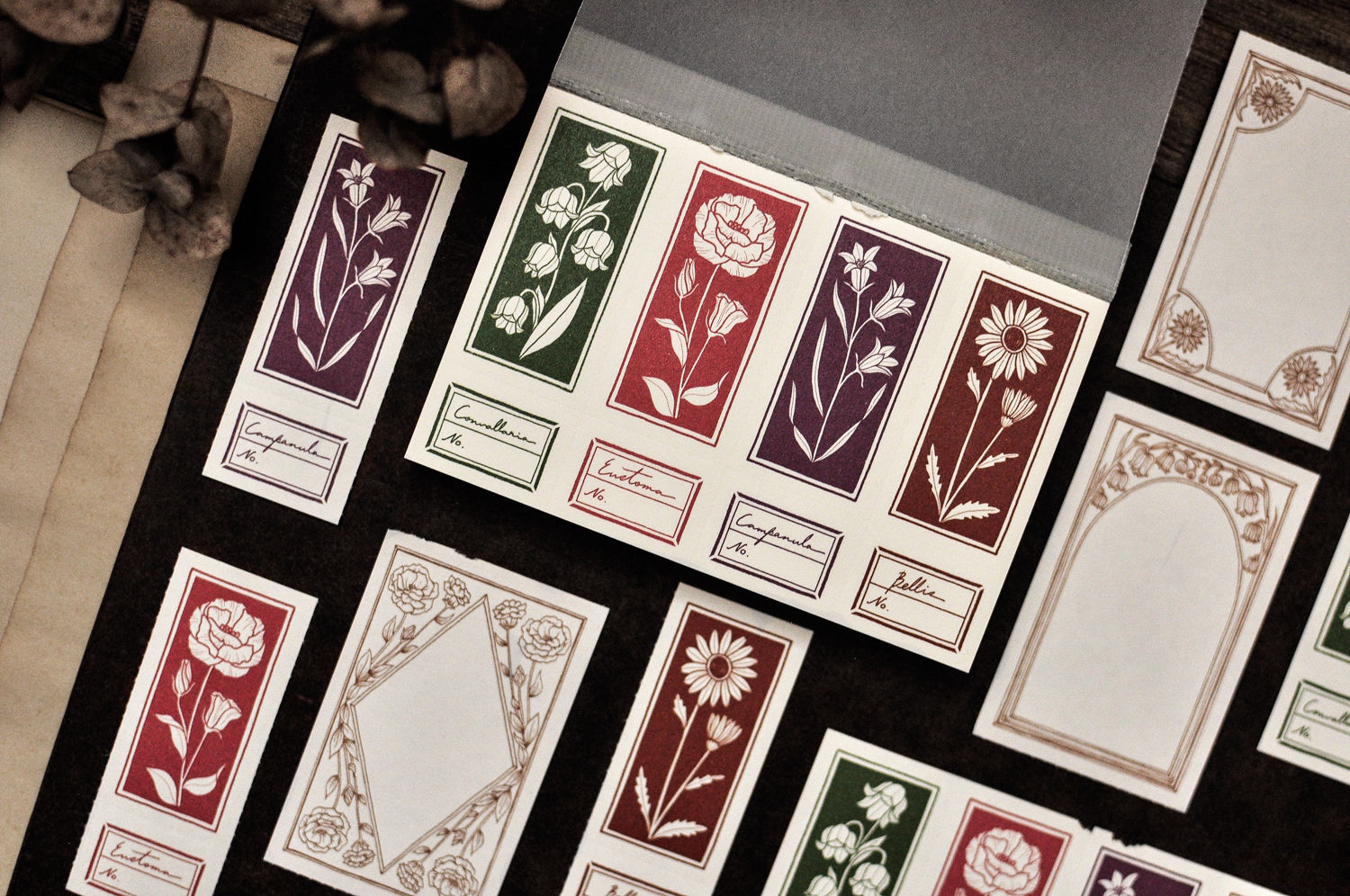 Miao Stelle - Floral Notes