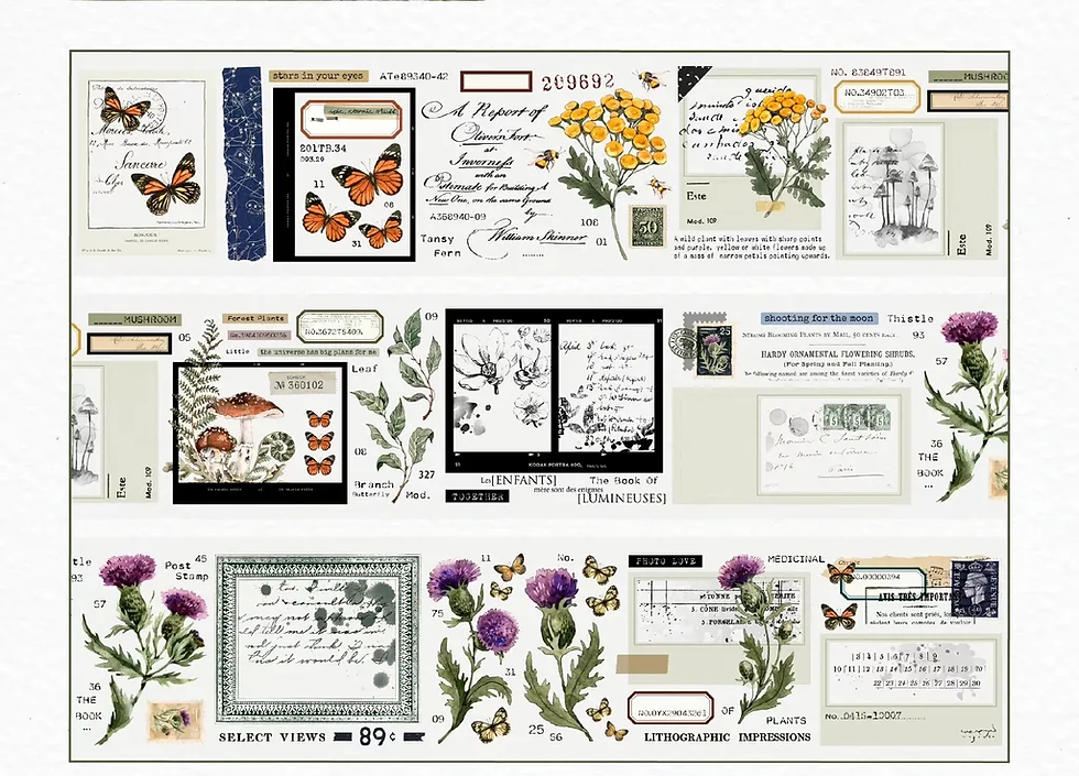 Thumbnail: MooKA Studio - Botanical Illustration PET Tape