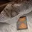 Thumbnail: SOM Studio x bighands - Flower Hourglass / Flower Clock Memo Pad
