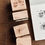 Thumbnail: Some Sort of Fern - From Purr to Peace & The Shape of Ferns Rubber Stamp