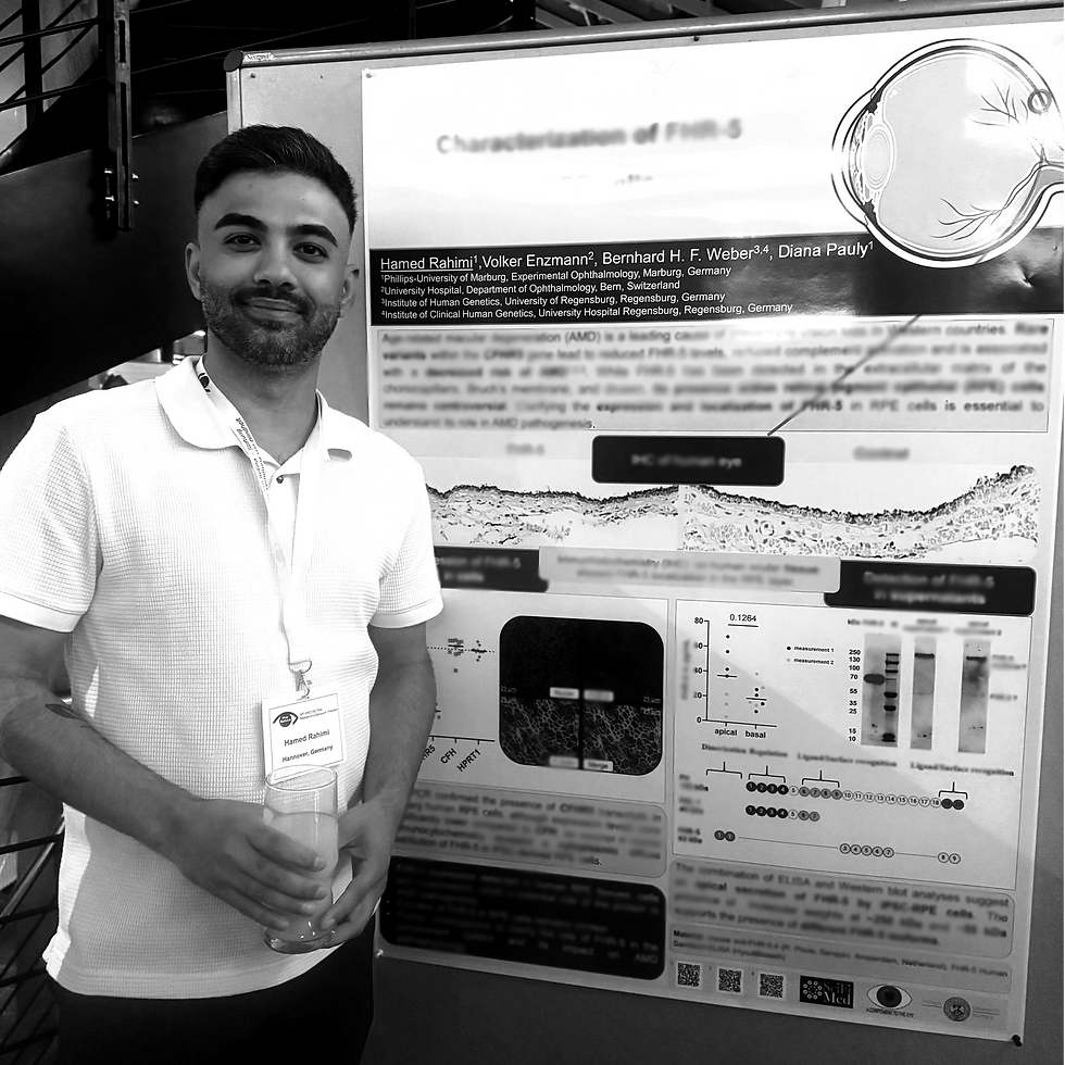 Hamed Rahimi and his data investigating FHR-5 in RPE cells
