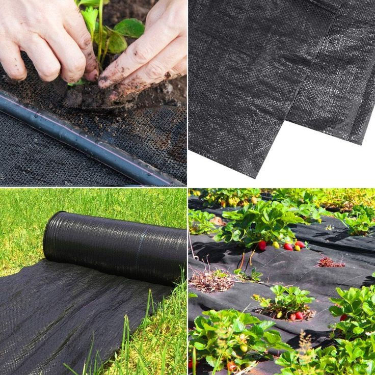 Solutions 3 weed mat.jpg
