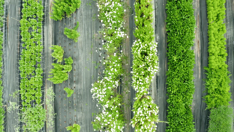 Solutions for the changing world.gif
