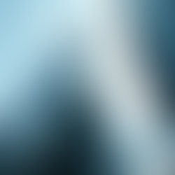 Comprehensive Overview of Folio Financial Solutions