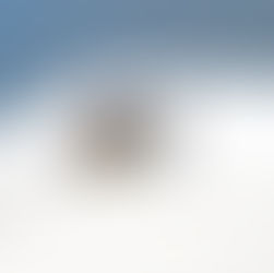 Seçilmiş Cehalet sergisi, Akbank Sanat'ta açıldı