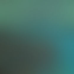 Geçmişten geleceğe bir diyalog