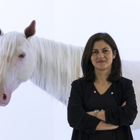 Türkiye sanat tarihinin izinde: Hayal Fanusu