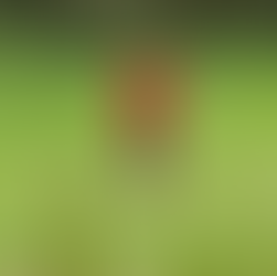 Hayal gücüne alan açmak