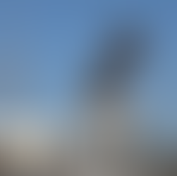 Eğreti devrim görselleri