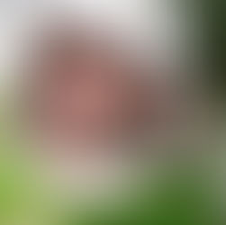 Kundura Hafıza Arşiv ve Araştırma Merkezi açıldı