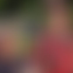 On soruluk sohbetler: Feidlim Cannon & Adrienne Truscott